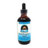 Source Naturals Wellness Herbal Resistance Liquid - 4 Ounces