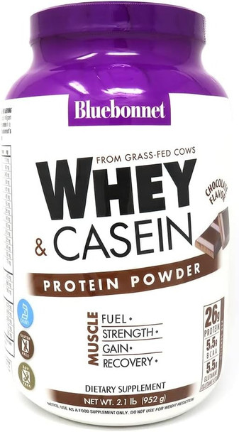Bluebonnet Nutrition 100% Natural Dual Action Protein Natural Chocolate -- 2.1 lbs