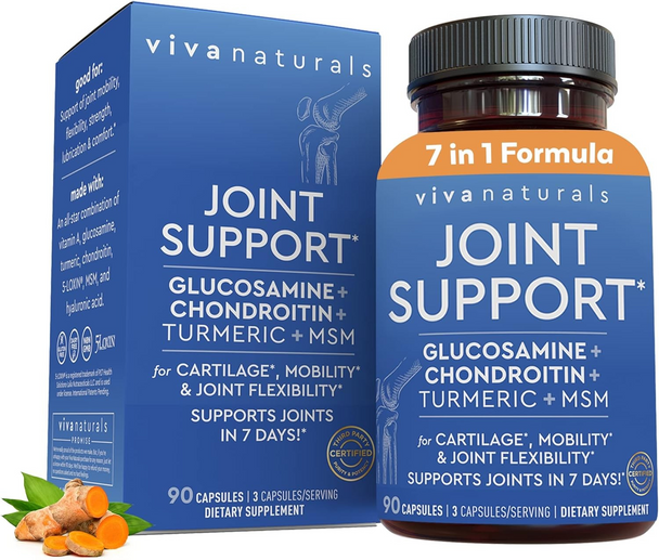 Viva Naturals Glucosamine Chondroitin MSM Joint Support 90 Caps