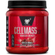 CellMass 2.0 1.06 Lbs Yeast Free by BSN