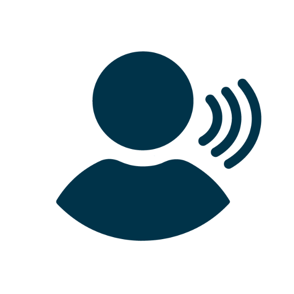 Voice activation icon