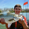 SteelShad XL Tennessee Shad