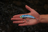 SteelShad XL Kentucky Shad