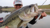 SteelShad Mini Series- Silver (2pk)