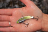 Gold Heavy Series - 1/2 oz., #8 VMC Black Nickle Hooks, and Line Clip