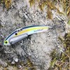 Sexy Shad Heavy Series - 1/2 oz., #8 VMC Black Nickle Hooks, and Line Clip