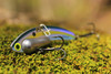 Sexy Shad Heavy Series - 1/2 oz., #8 VMC Black Nickle Hooks, and Line Clip