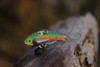 SteelShad Mini Series - 1/4 oz - Perch (2pk)