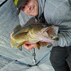 SteelShad Heavy - 1/2 oz - Glow Silver