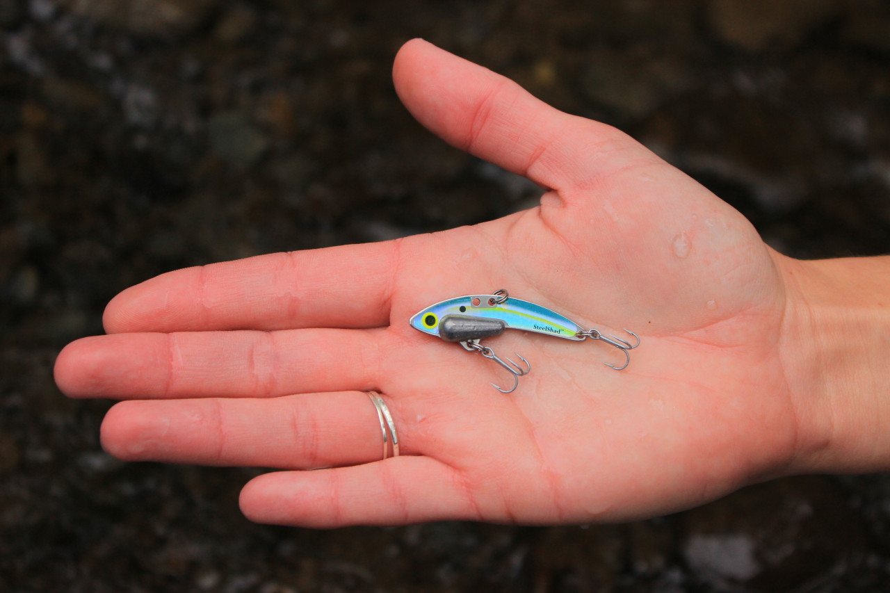 Sexy Shad 1/4 oz. Blade Bait 2pk