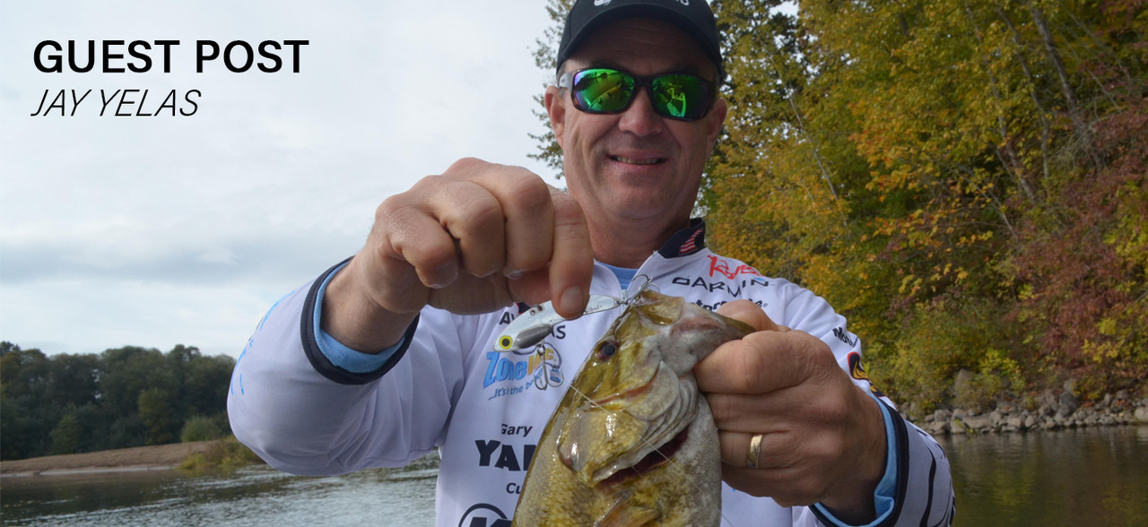 Fishing the SteelShad