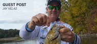 Fishing the SteelShad
