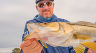 Best Videos including SteelShad-2020