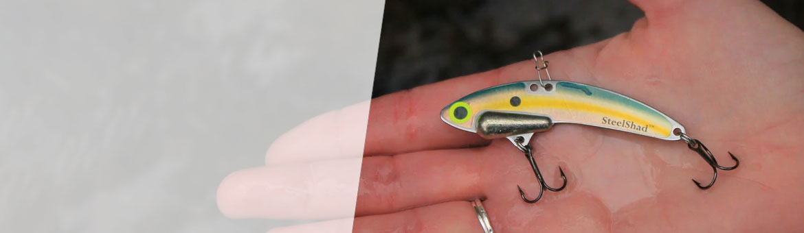 fishing lures shop