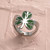 Shamrock Thumb Ring Shop All 20 Joyful Sentiments