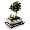 Humidity Tray - 9"