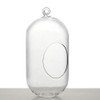 Tall Zen Hanging Terrarium