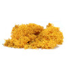 Orange Deer Moss
