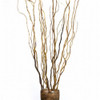 Botanicals - Curly Willow