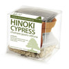 Hinoki Cypress Bonsai Seed Kit