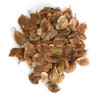 Corkbark Elm Bonsai Seeds