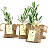 Olive Tree Plant Favor - Burlap Pouch