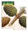 Pinecones - Large Matchbox