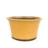 6.5" Round Tall Bonsai Pot - Yellow