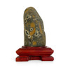 Snake Skin Pattern Stone
