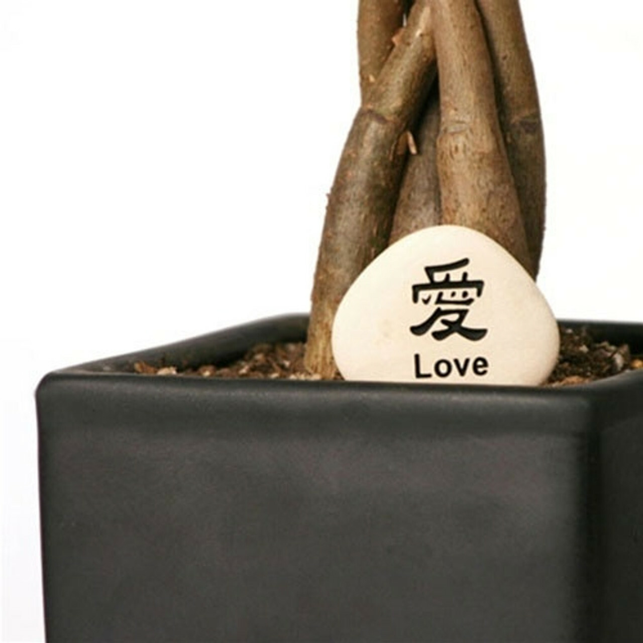Bonsai Accessories and Bonsai Supplies