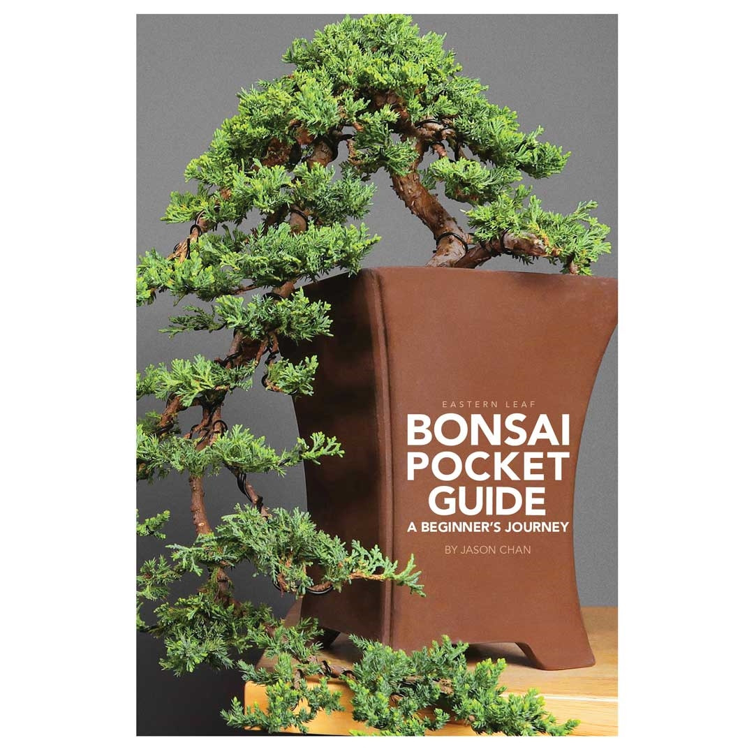 Bonsai Pocket Guide A Beginner's Journey
