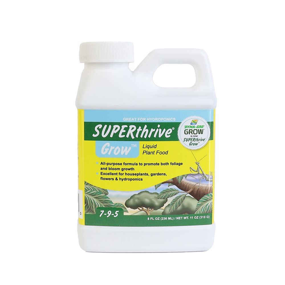 その他 Various Superlongevityfive 7LP 12\