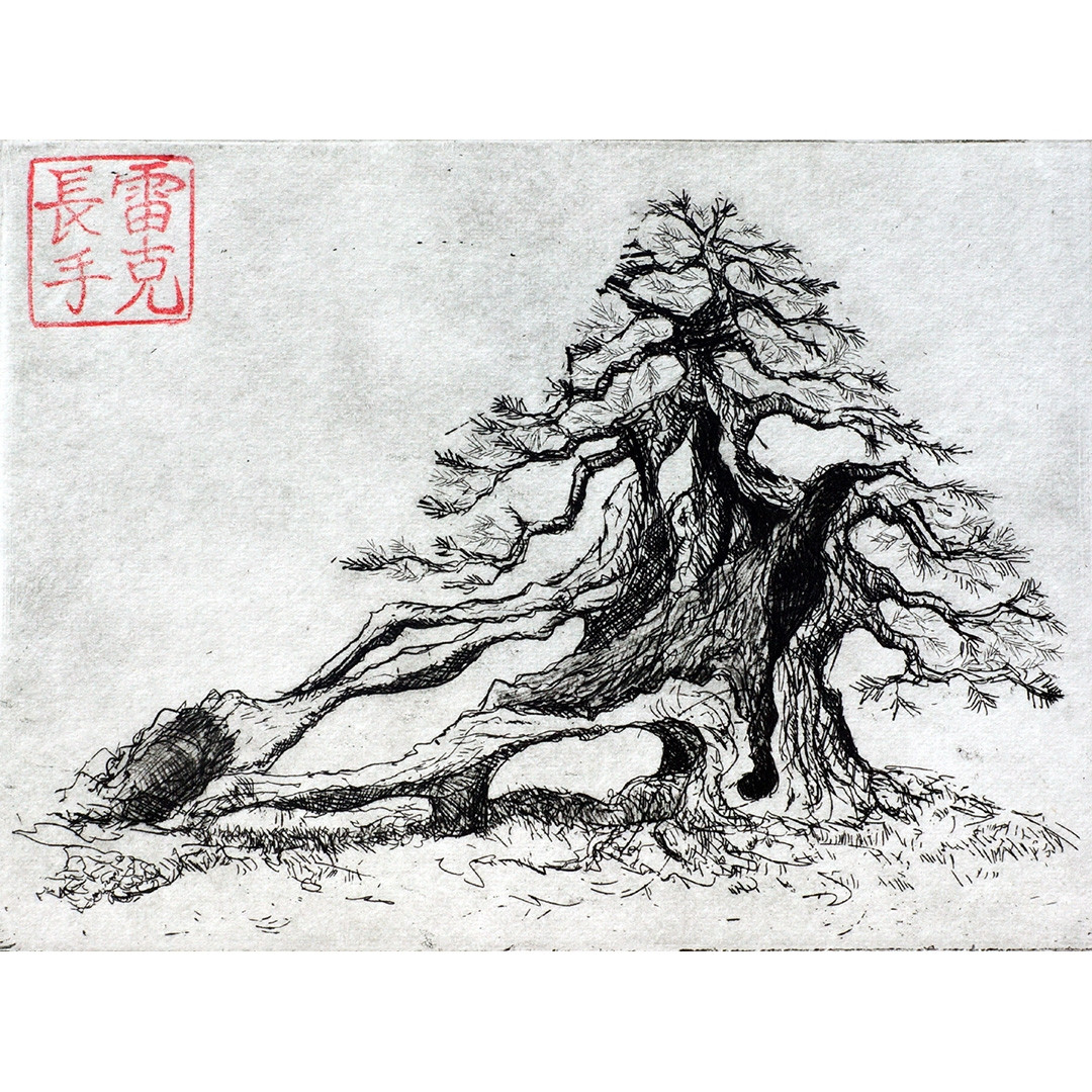 Bonsai Print Drawing