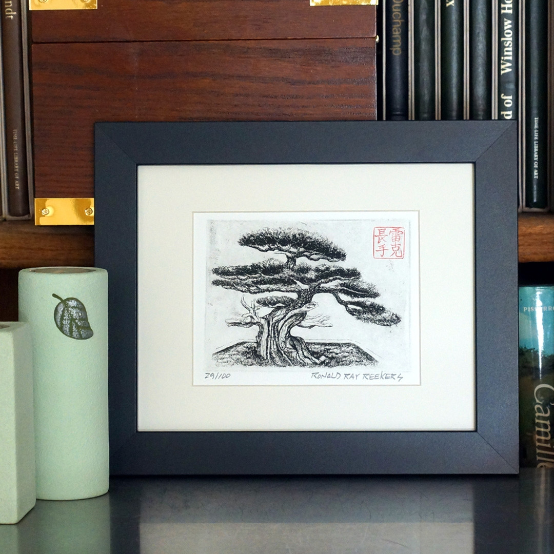 Bonsai Print Drawing