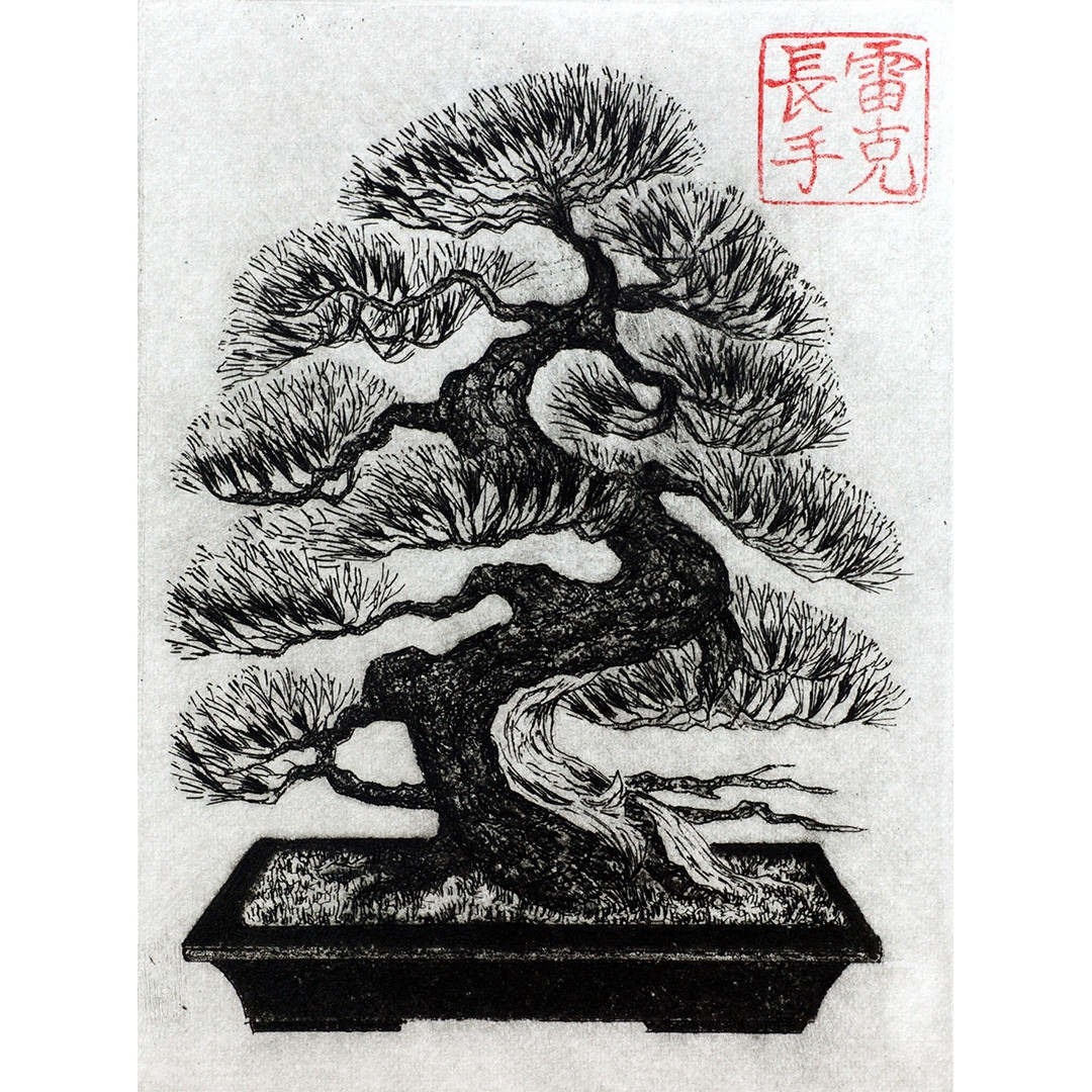 Bonsai Print Drawing