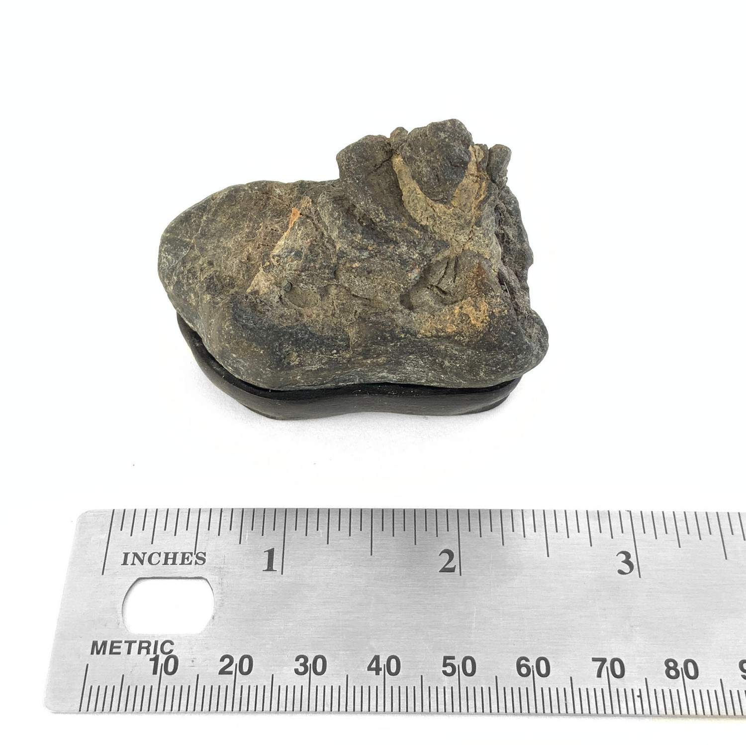 stone.dz.ayuさん10-21-9 Japanese Suiseki - Japanese Viewing Stone with Daiza - Eastern Leaf