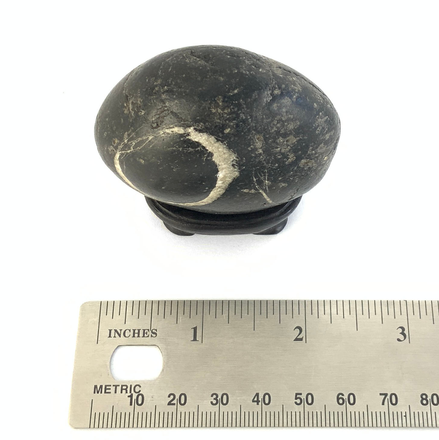 Japanese Suiseki - Gensho-seki Eclipse Stone with Daiza - Eastern Leaf