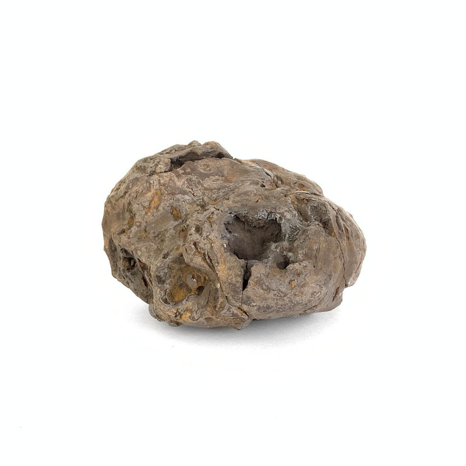 Bamikiページ Japanese Suiseki - Abe River Iron Ball Stone - Eastern Leaf