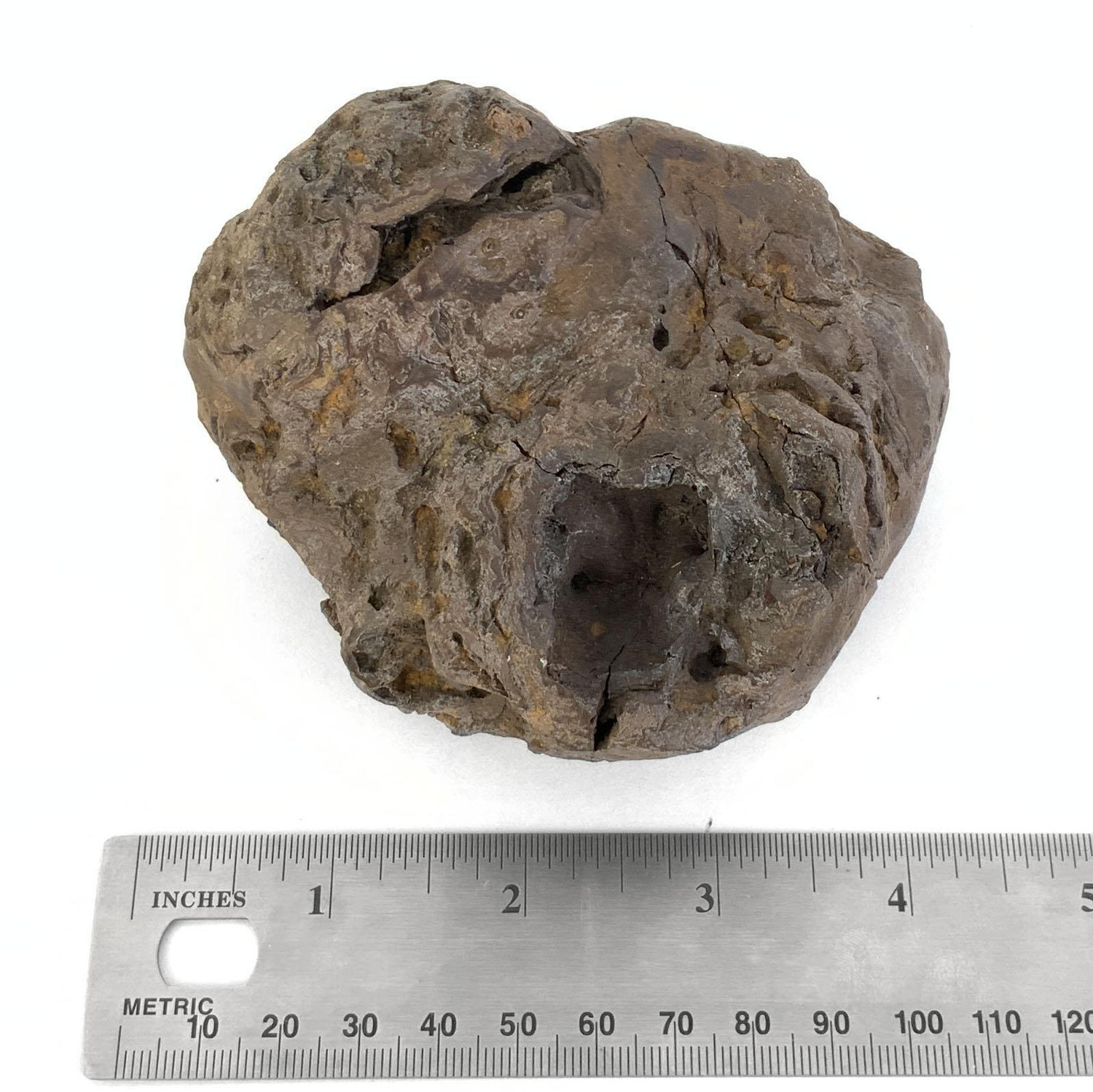 Bamikiページ Japanese Suiseki - Abe River Iron Ball Stone - Eastern Leaf