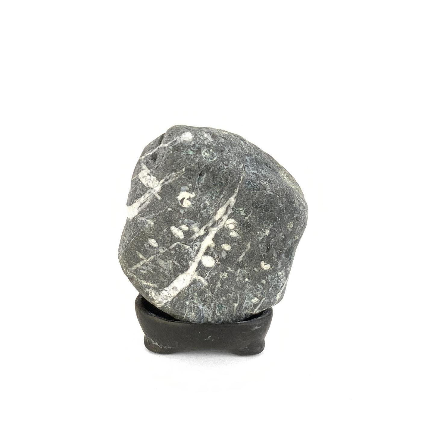 Japanese Suiseki - Plum Flower Stone with Daiza - Eastern Leaf