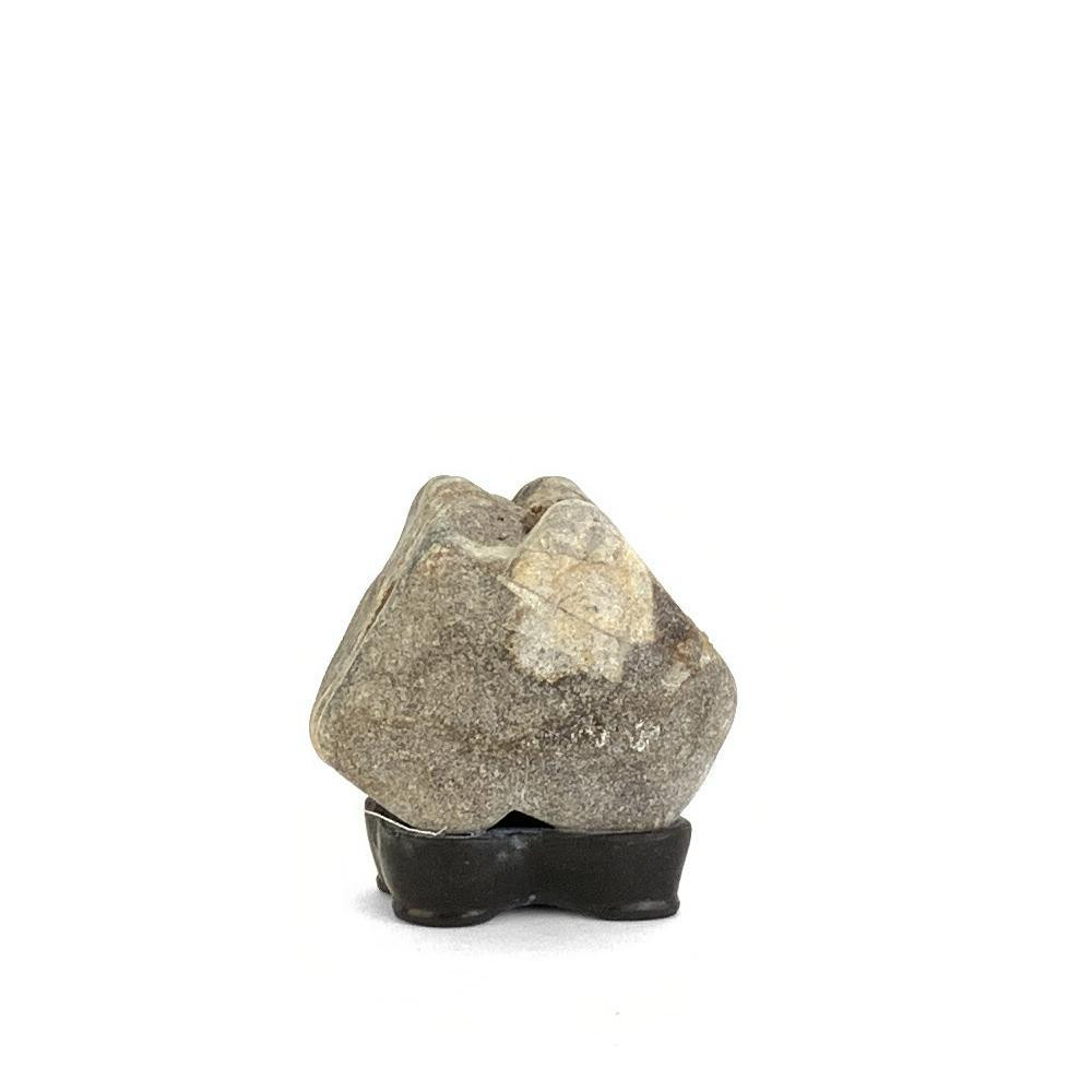 Japanese Suiseki - Double Peak Pattern Stone with Daiza - Eastern Leaf
