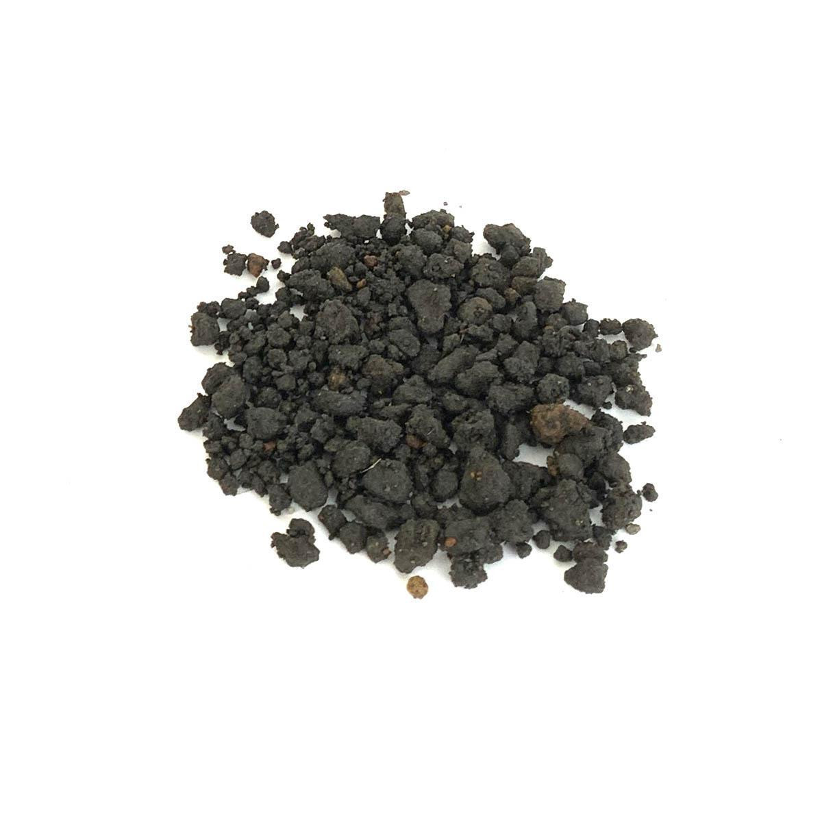 ホジン木 Mt. Fuji Black Lava Rock, Shohin Grain - 10L Bag (Japan) - Eastern