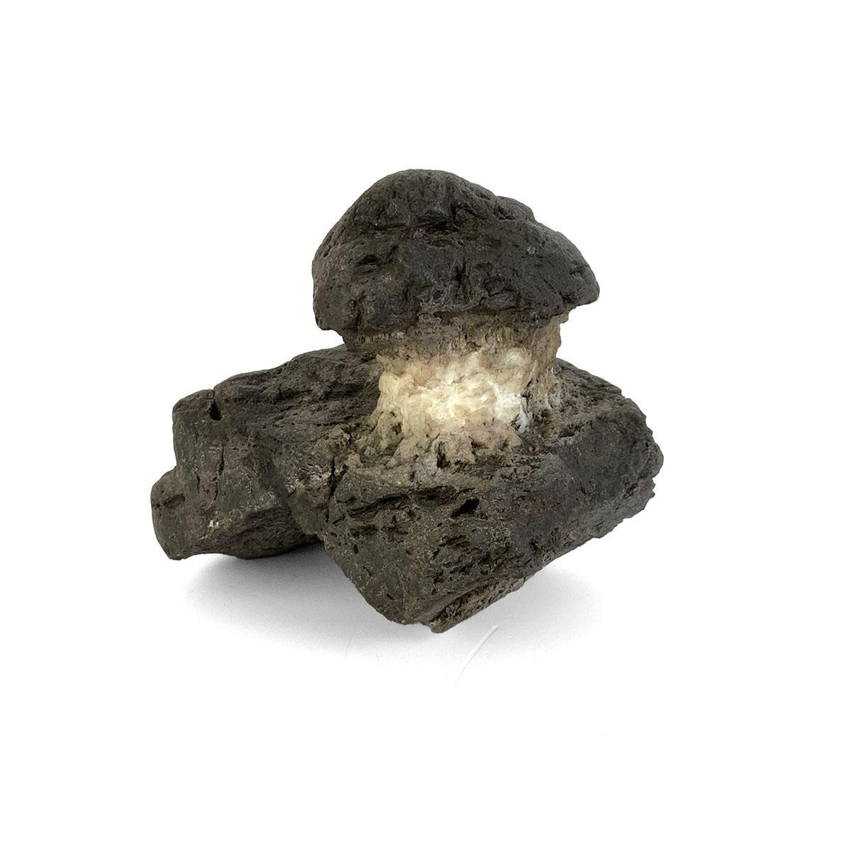 Japanese Suiseki - Cliffside Hut Stone - Eastern Leaf