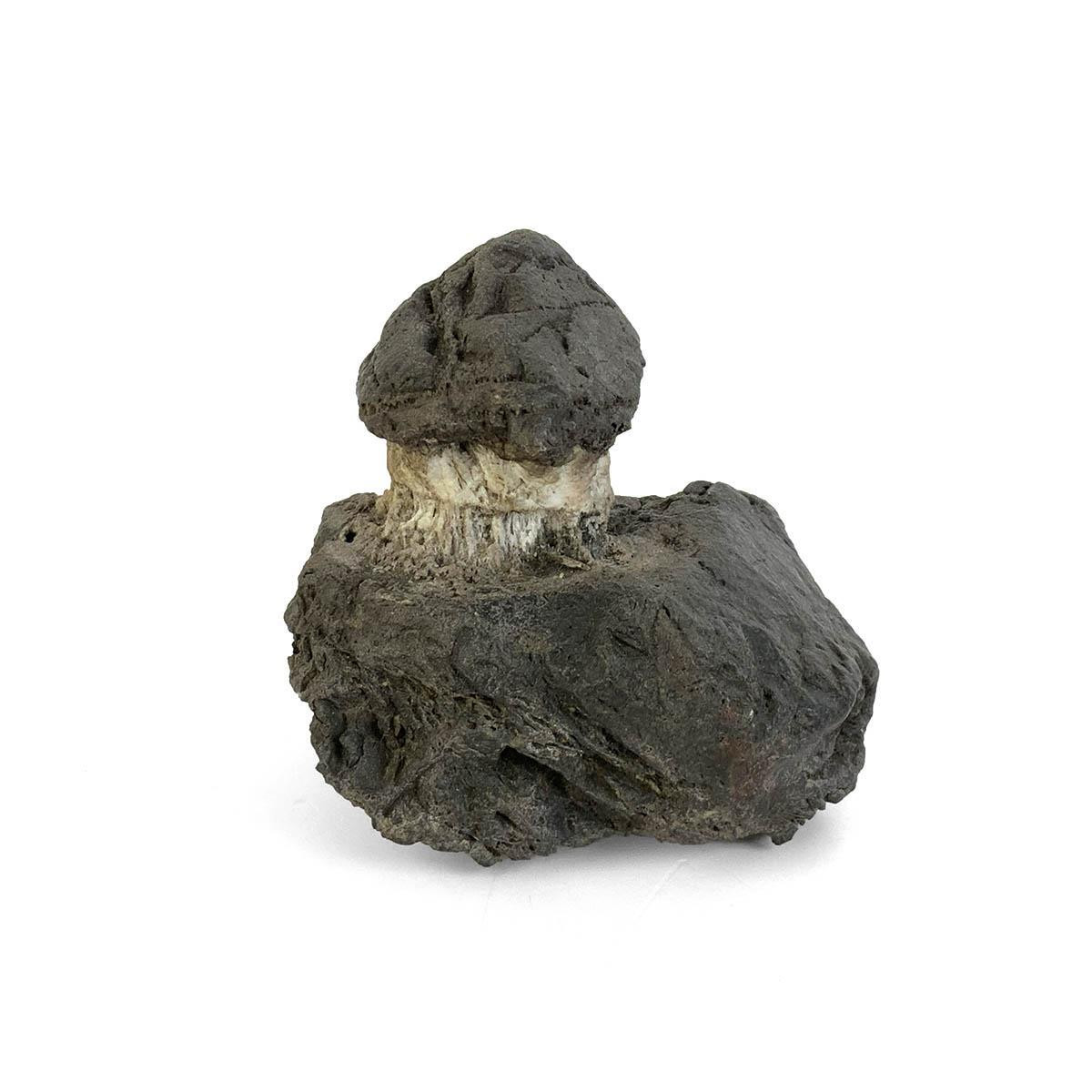 Japanese Suiseki - Cliffside Hut Stone - Eastern Leaf