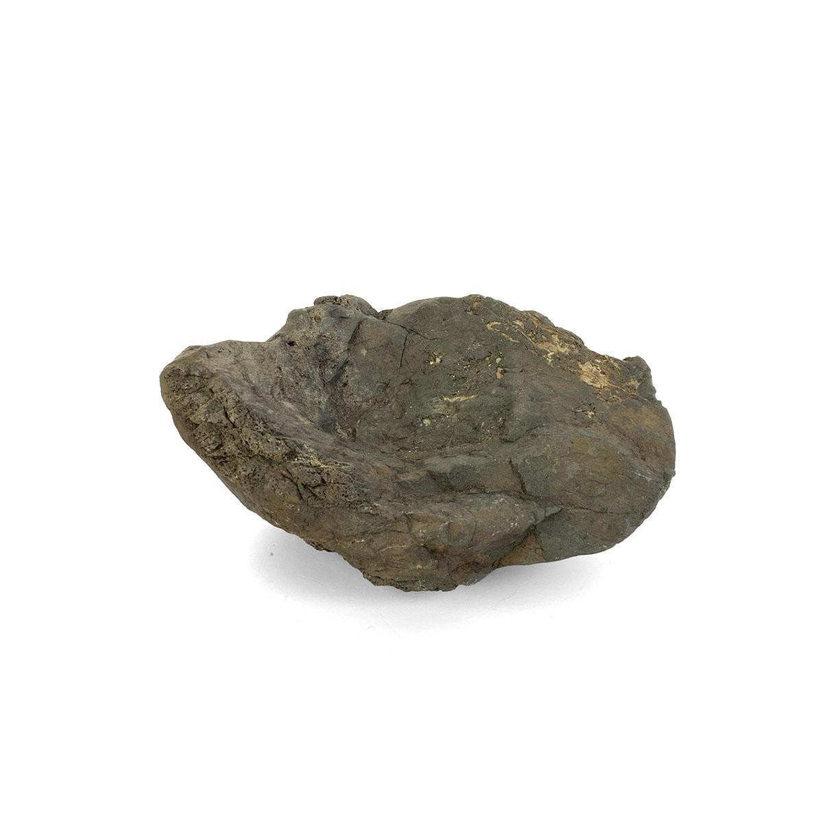 Japanese Suiseki - Water Puddle Stone - Eastern Leaf