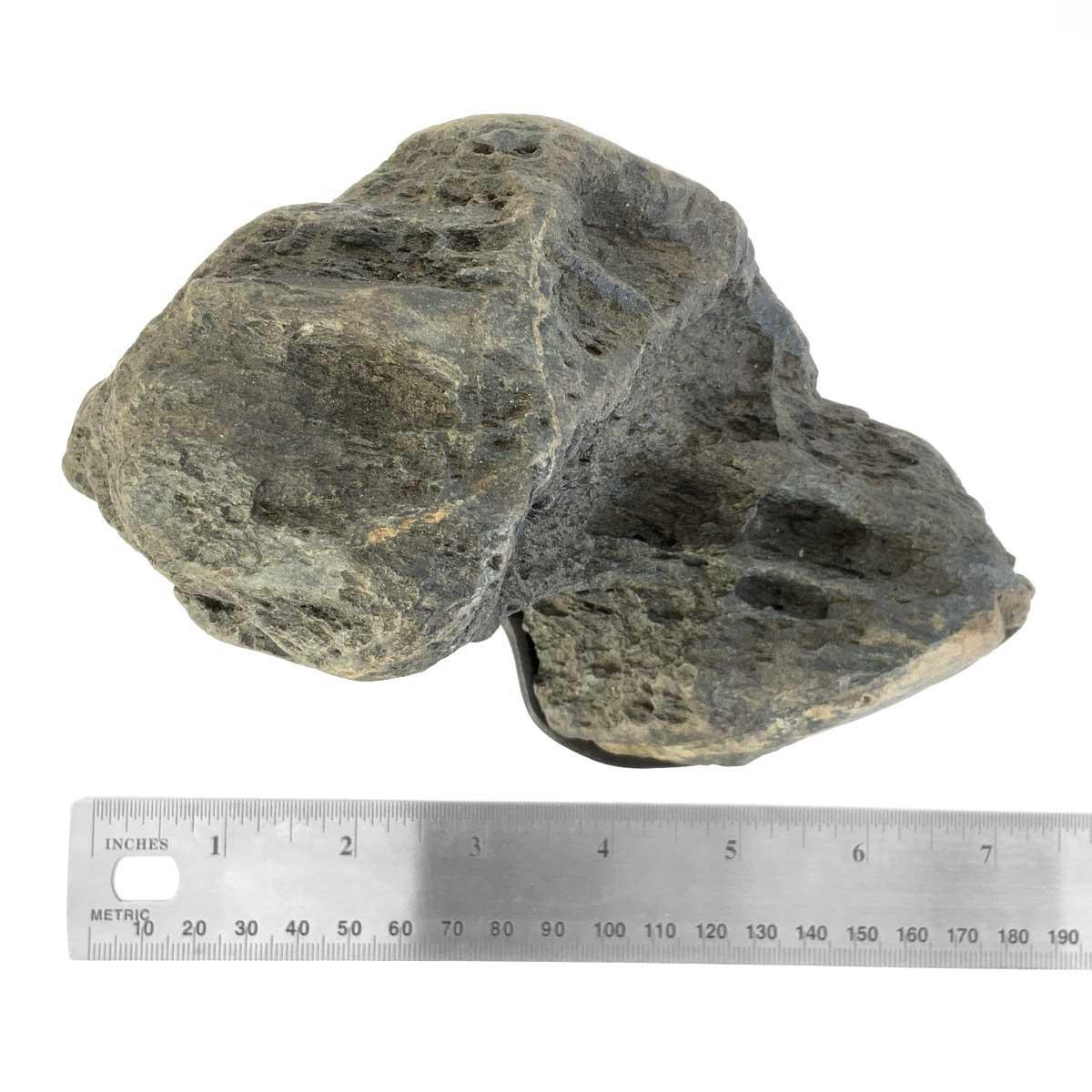 Japanese Suiseki - Kama River Stone Sudachi with Daiza (Sajigawa