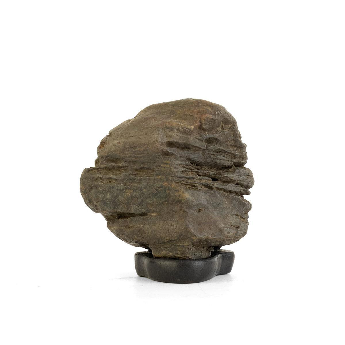 Japanese Suiseki - Abe River Iron Ball Stone with Daiza - Eastern Leaf