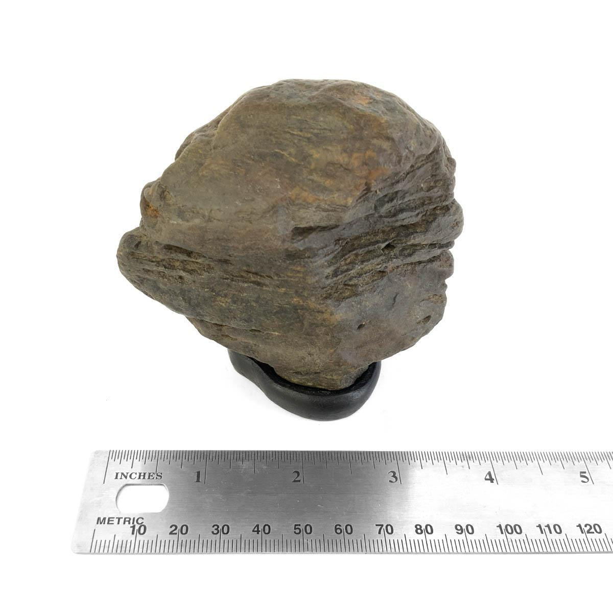 Japanese Suiseki - Abe River Iron Ball Stone with Daiza - Eastern Leaf