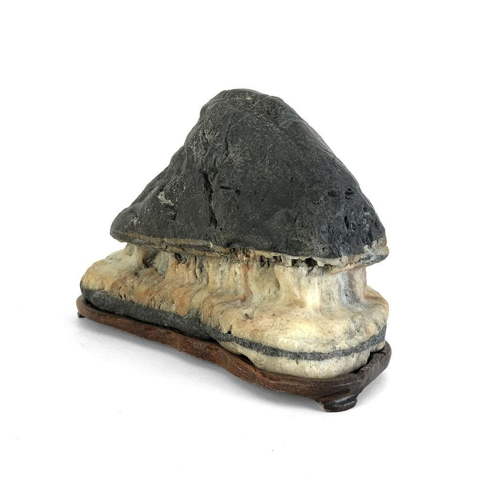 stone.dz.ayuさん12-29-7 Japanese Suiseki - Abe River Carved Hut Stone with Daiza - Eastern