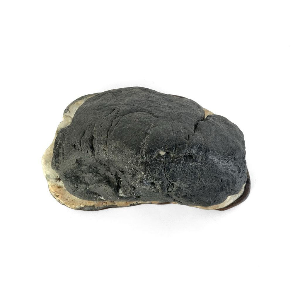 Japanese Suiseki - Abe River Carved Hut Stone with Daiza - Eastern